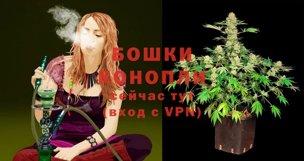 Альфа ПВП Горнозаводск