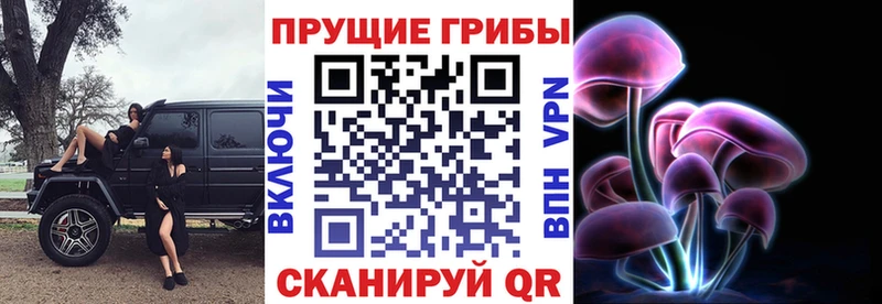 Галлюциногенные грибы Psilocybe  Москва 
